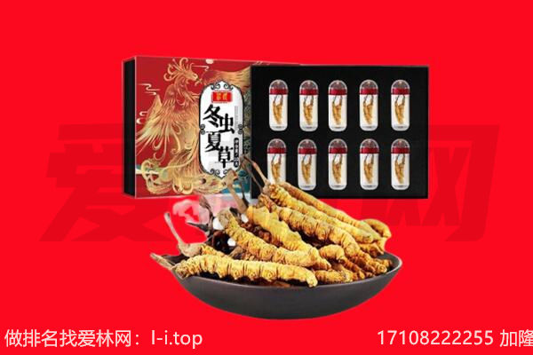 酒泉市瓜州回收虫草.jpg